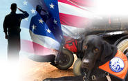 collage of a silhouette of a man and woman saluting a flag and a dog lying down